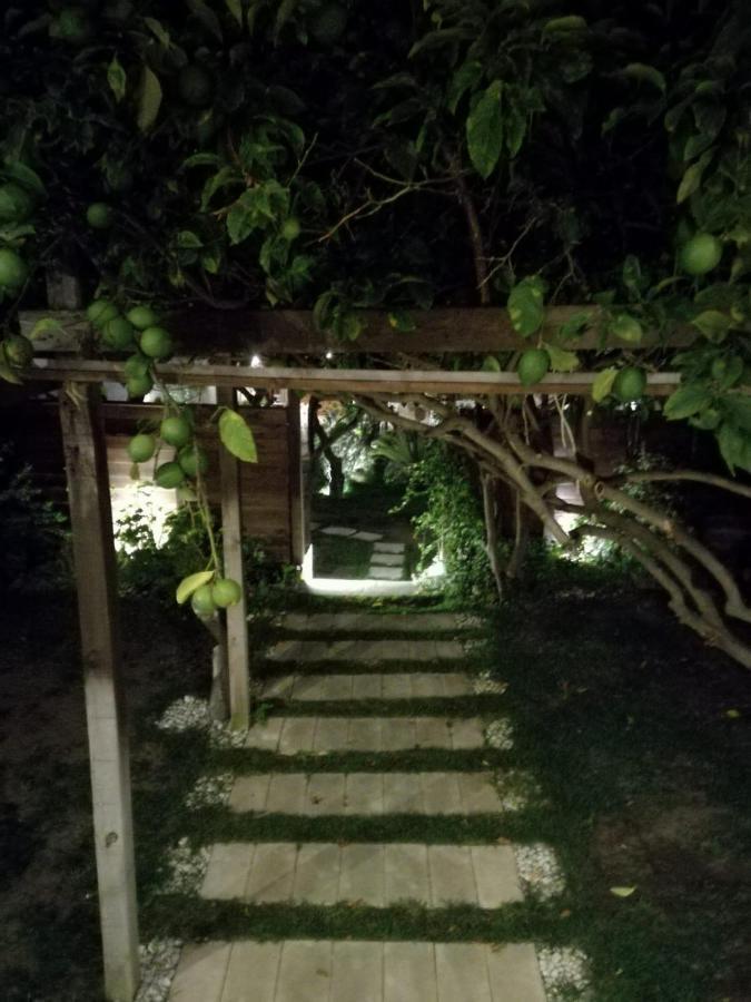 La Casa Di Marcello Daire Torre Annunziata Dış mekan fotoğraf